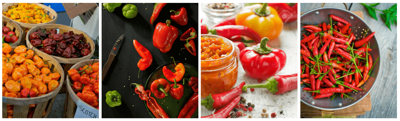 Espèces de piment Espèces de piment